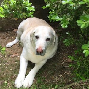 Meet your Posher, Sima